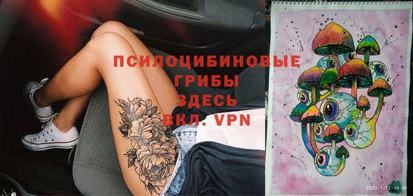 прущие крисы Верея