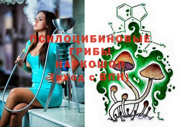 а пвп мука Верхний Тагил