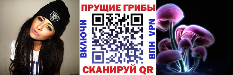 mega рабочий сайт  Курган  Галлюциногенные грибы GOLDEN TEACHER  где купить наркоту 